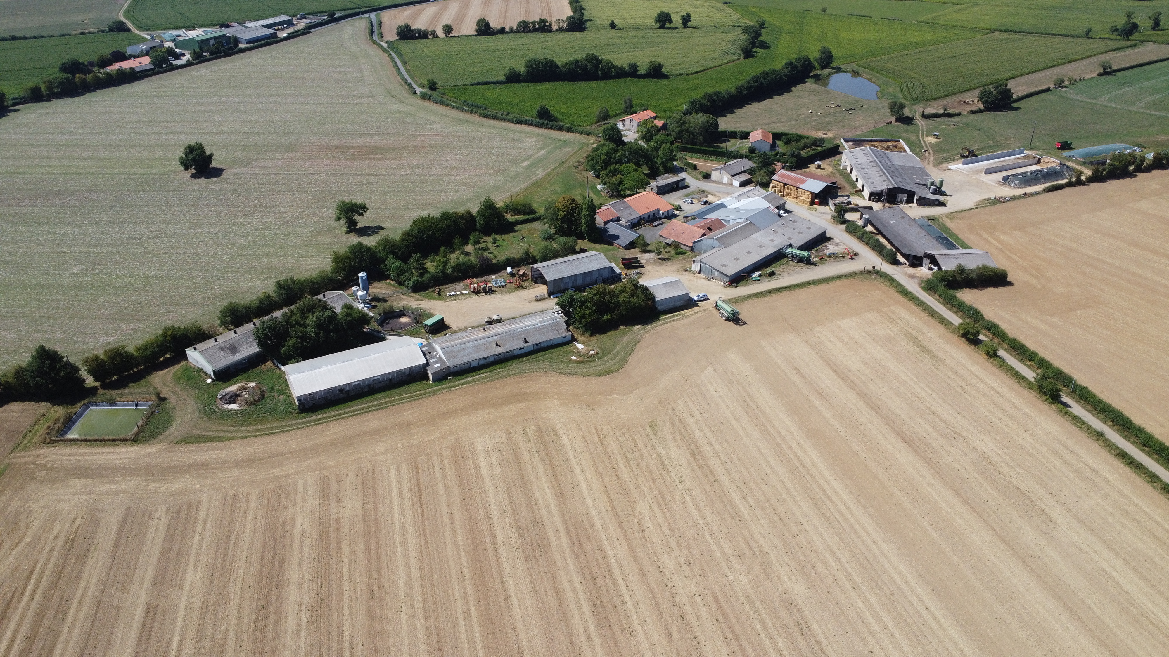 Exploitation porcine à vendre en Maine-et-Loire (Chemillé-en-Anjou)