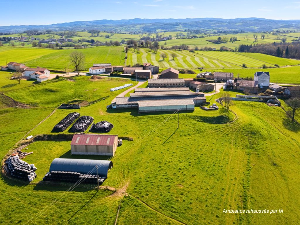 Élevage bovin viande à vendre dans le Puy-de-Dôme (Trézioux)