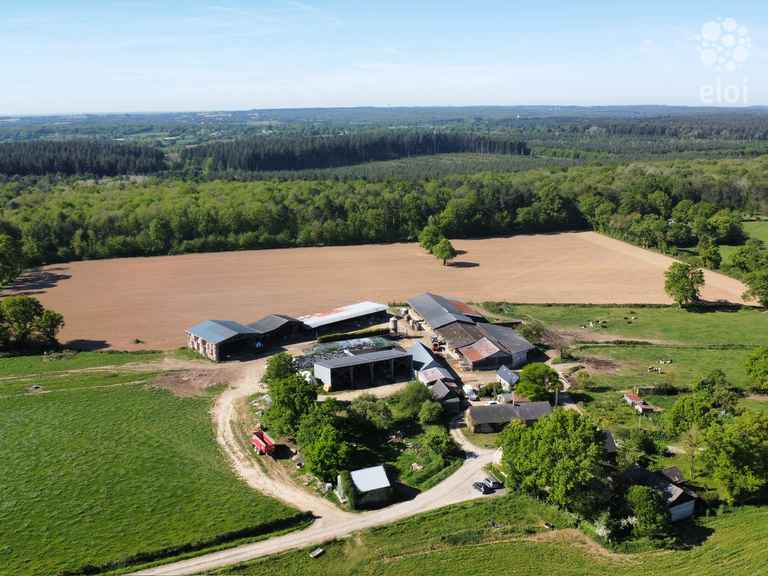 Ferme laitière à vendre en Mayenne (Olivet)