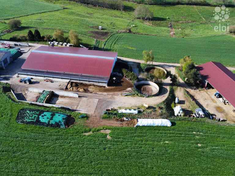 Rejoignez une exploitation d&rsquo;élevage bovin lait en Haute-Loire (43)